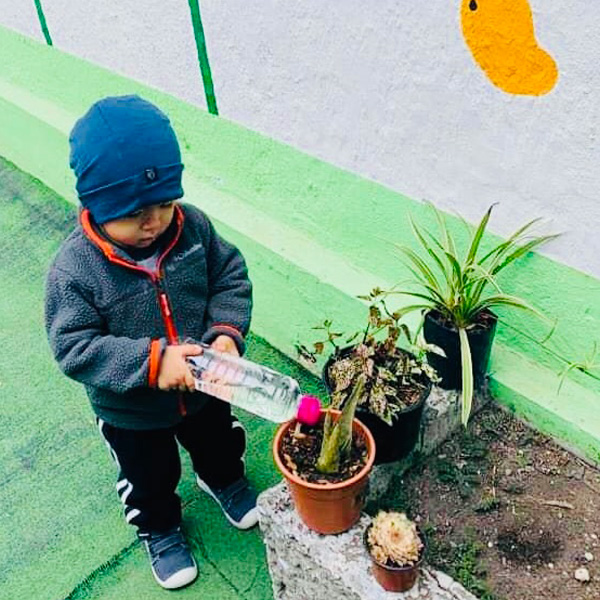 Actividades Pedagógicas